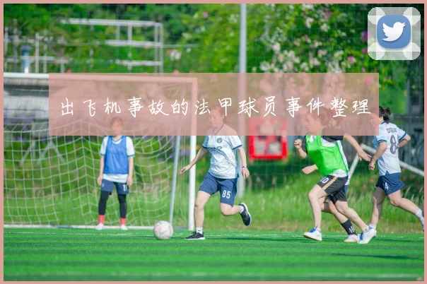 出飞机事故的法甲球员事件整理