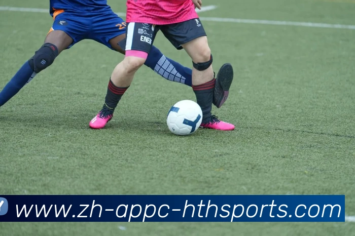 华体会hth平台生态图