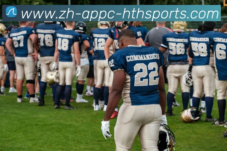 App Interface Preview